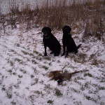 Magnum & Shawdow Jan. 2009
