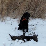 solo hunt Jan. 2011