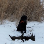 solo hunt Jan. 2011