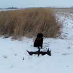 solo hunt Jan. 2011