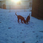 THE KIDS[1]